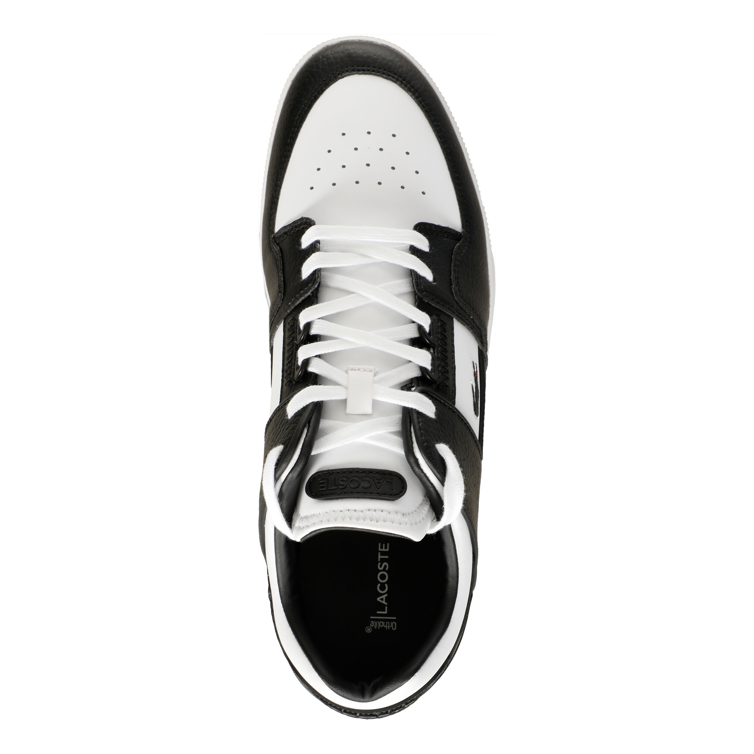 Buy Lacoste Court Cage Loisir Hommes Blanc Noir online Tennis