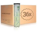 Balle de tennis HEAD HEAD Gravity Tube De 4 Edition Spéciale