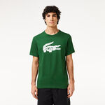 Vêtements Lacoste Lacoste T-shirt Hommes-Vert,Blanc