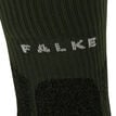 Falke