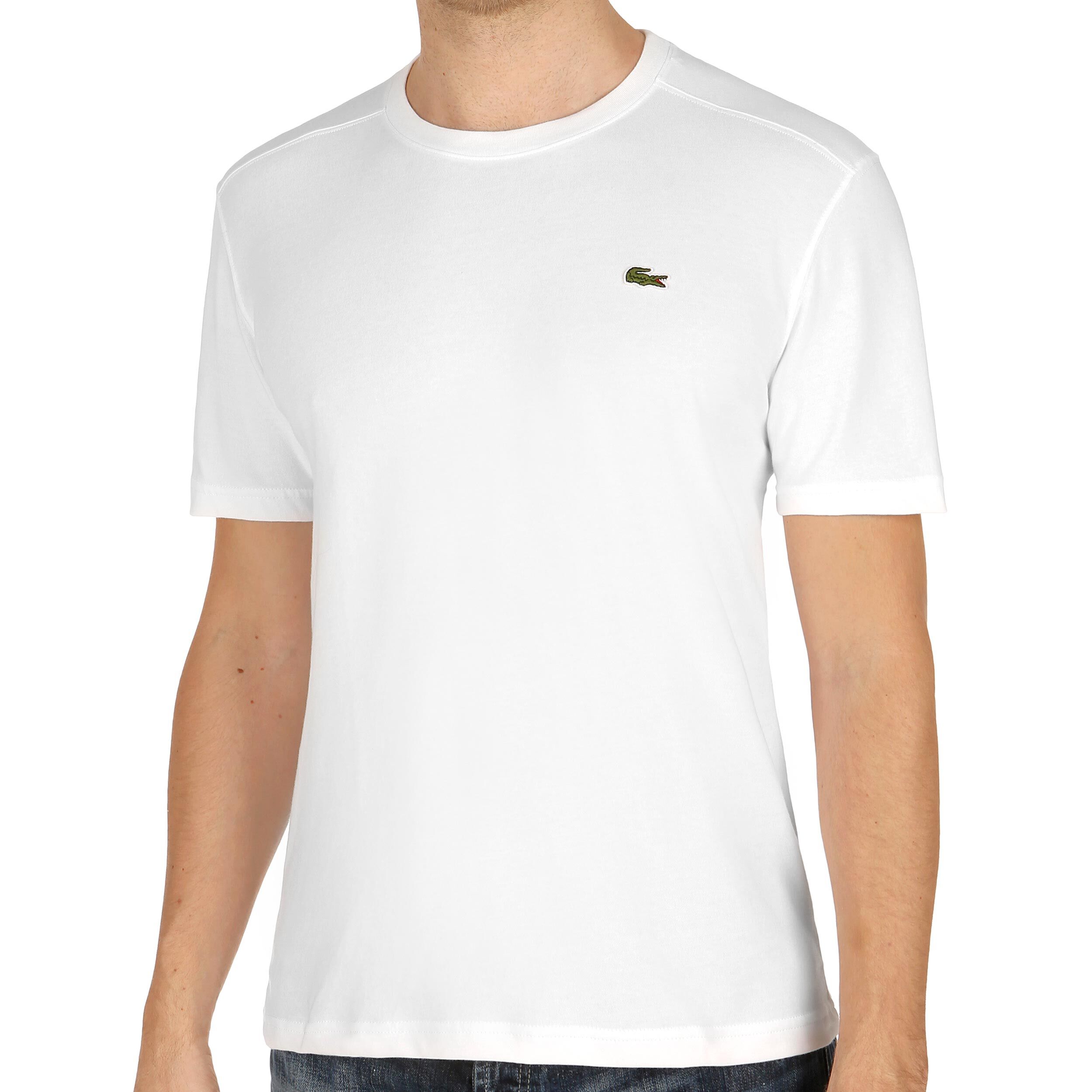 Buy Lacoste Tennis T shirt Hommes Blanc Vert online Tennis Point BE