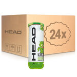Balle Play + Stay HEAD HEAD (Stage 1 Green Tube de 3 