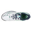 Mizuno
