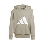 Vêtements adidas Essentials Hoody