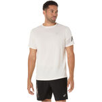 Vêtements ASICS Icon Shortsleeve