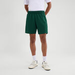 V&ecirc;tements Ellesse Ellesse Zanica Shorts Hommes-vert fonc&eacute;