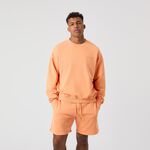 Vêtements Björn Borg Borg Oversized Washed Sweatshirt