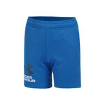 Vêtements Under Armour Under Armour Tech Logo Shorts Garçons-Bleu