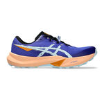Chaussures de running ASICS ASICS Fuji Lite 6 Chaussure trail Hommes-bleu, gris