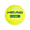 HEAD