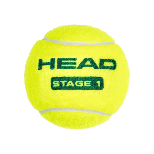 HEAD