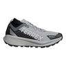 Terrex Agravic GTX Chaussure trail Hommes-gris, blanc