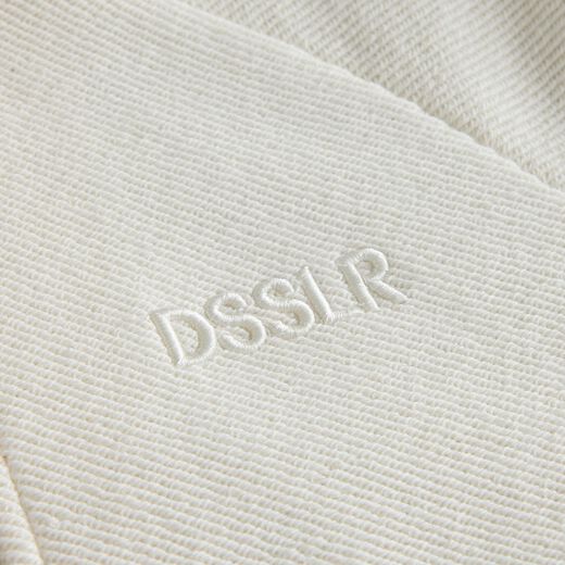 DSSLR