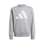 Vêtements adidas Essentials Sweatshirt