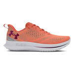 Chaussures De Running Under Armour Velociti 4 SE