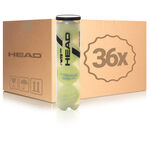 Balle de tennis HEAD HEAD WTB One Tube de 4 