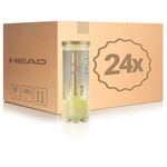 Balle de tennis HEAD HEAD Tour Tube De 3