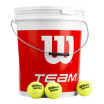 Balles De Tennis Wilson Team W Trainer 72 Tennisbälle im Eimer
