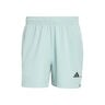 D4T Essentials Shorts Hommes-mint