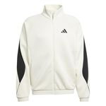 Vêtements adidas M STADIUM TT