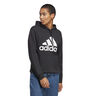 Big Logo Hoody