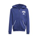 Vêtements adidas J CLGT FT FZ