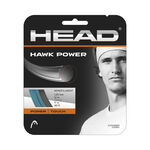 Cordages De Tennis HEAD Hawk Power 12m grau