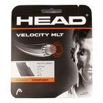 HEAD HEAD Velocity MLT Cordage En Garniture 12m-Noir